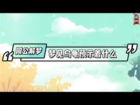 烏龜代表幾號|【夢見烏龜號碼】解夢必備！夢見烏龜藏著這些數字玄。